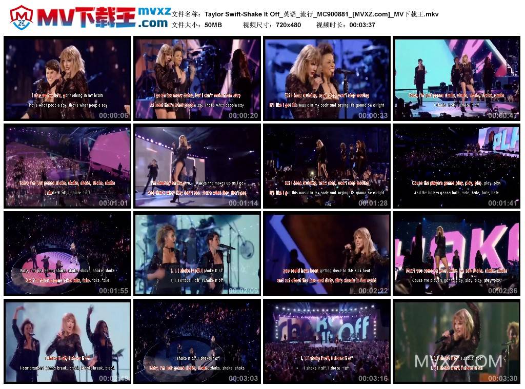 Taylor Swift-Shake It Off_英语_流行_MC900881